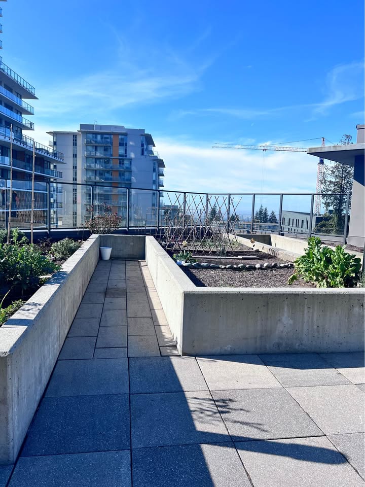 2 Beds 2 Baths – Apartment